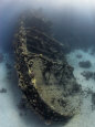 Tug Tien Sing, Red Sea