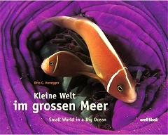 Buch: Kleine Welt im großen Meer - Small World in a Big Ocean