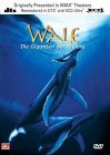 Wale - Giganten der Meere - DVD