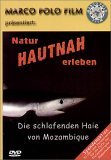 Die schlafenden Haie von Mozambique