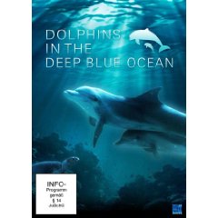 Dolphins in the Deep Blue Ocean
