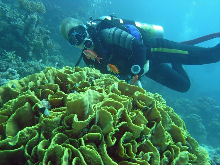 Taucher unter Wasser